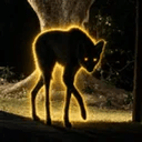 LOBO