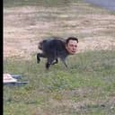 ELONITHY