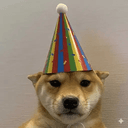 PARTYDOG