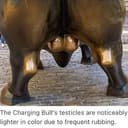 BULLBALLS