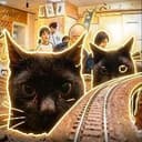 CATS