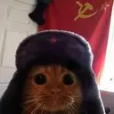 Sovicat