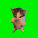 scubacat