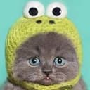 frogcat