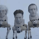 Animals