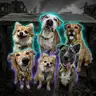 UNDERDOGS