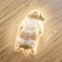 Paningning