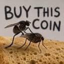buy this coin