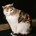 Missy