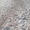 sand