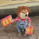 皮皮儿