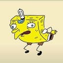 sponge