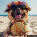 BITDOG