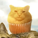 MuffinCat