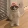 WIFCHI