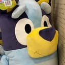BLUEY