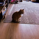 Hobbes