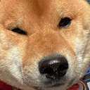 Kenji