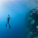 DIVEDEEP