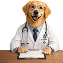 dogtor