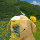 999dog