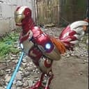 IRONMAN