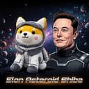 Elon Asteroid Shiba
