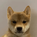 inu