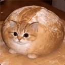 Breadcat