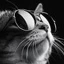 CATON