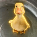 鸭YA