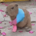 Handicapy