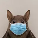 bat