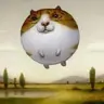 balooncat