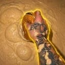 SLOP