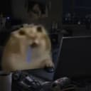 workcat