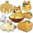 DOGE