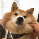 AWKCHAN45