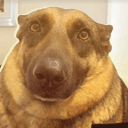 WDOG
