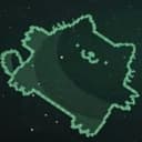 TURPIR