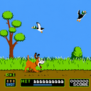 DUCKHUNT