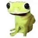Amphibian