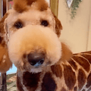 Cooper