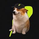 CashDogs