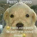 DINERO