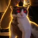 Lucifurr