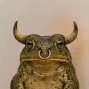 BULLFROG