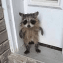 bub