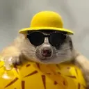 TIMON