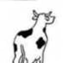 CryptoCow
